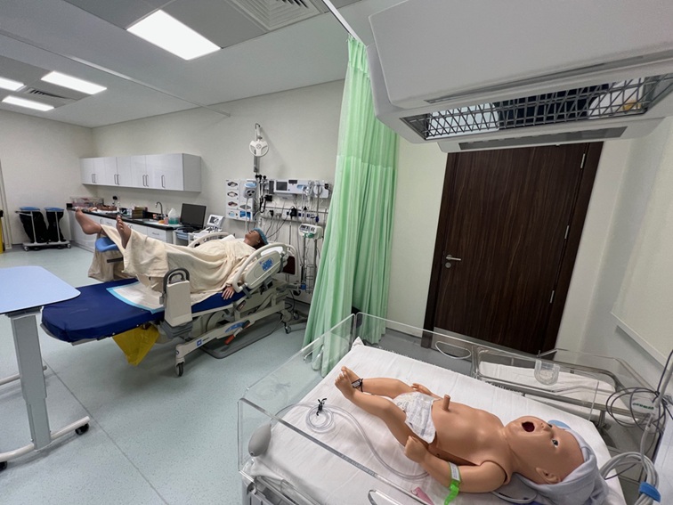 Delivery Simulation Suite (221)