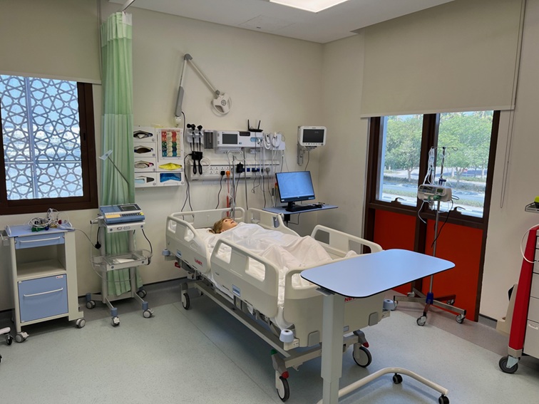 Emergency Simulation (231)